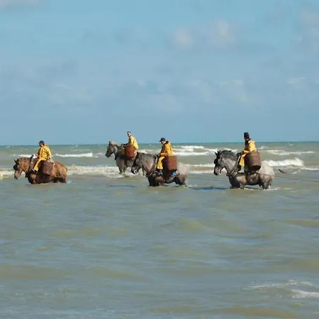 In With Sea View * Koksijde