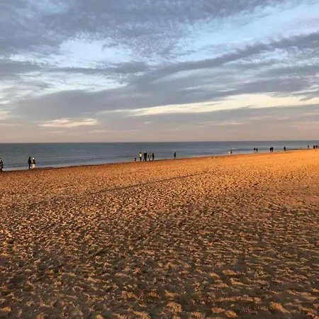 Apartament In With Sea View Koksijde